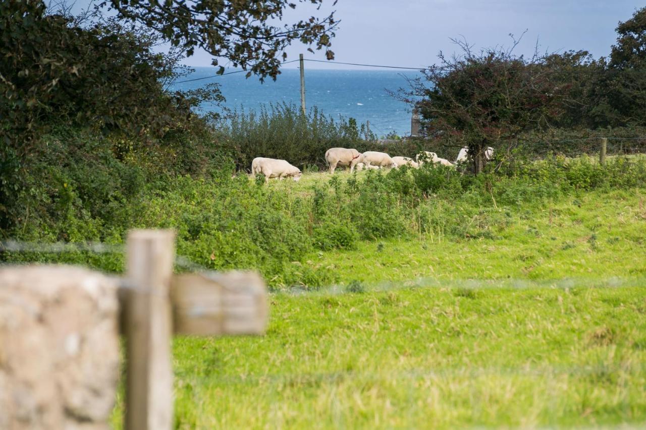 Tyn Lon Villa Moelfre Buitenkant foto