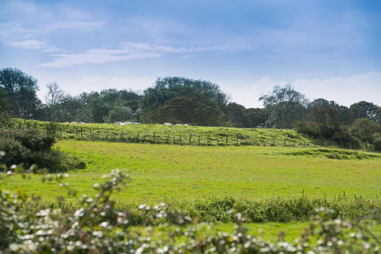 Tyn Lon Villa Moelfre Buitenkant foto